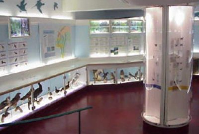 Centre Eden, Education-Découverte-Nature