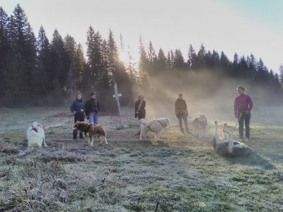 Les Équipages Adam's