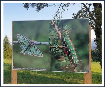 Exposition naturaliste en plein air