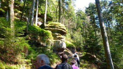 Circuit pédestre - Tour de la Bourgonce