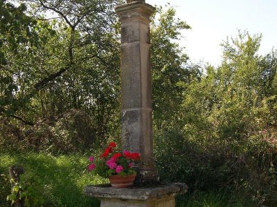 Itinéraire découverte autour de Seranville