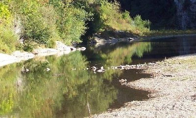 Espace Naturel Sensible du massif et des gorges de la Cèze