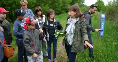 Sentier la Clé des Champs