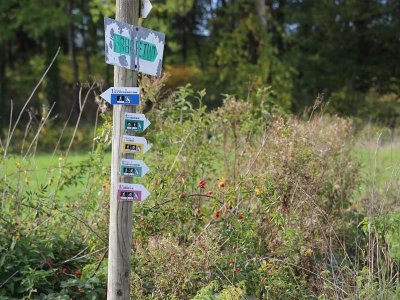 Arboretum de Vathiménil