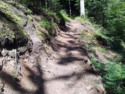 Circuit pédestre - Coquin Pain de Sucre