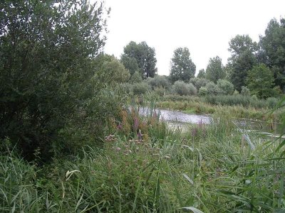 La Tourbière de Vred