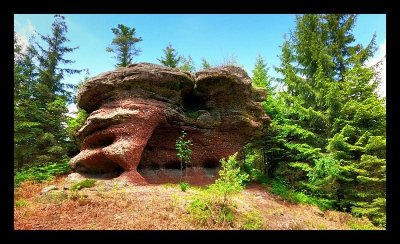 Circuit pédestre - Les Brocards