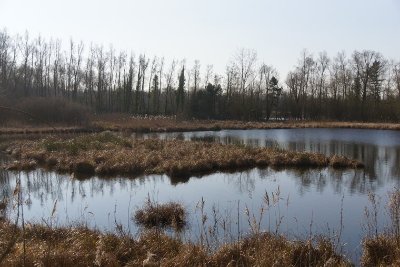 Grande Tourbière de Marchiennes