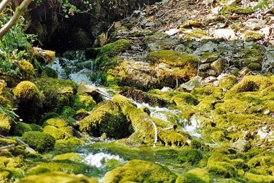 COURCELLES-EN-MONTAGNE