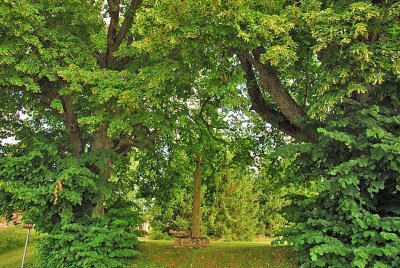 SAINT-BROINGT-LES-FOSSES