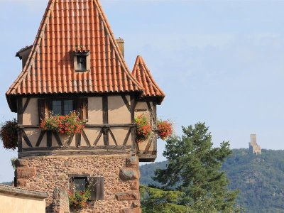 Circuit de visite à travers Châtenois