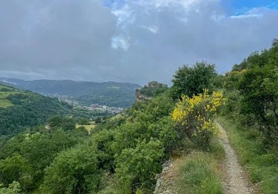 Trail N°24 : Saint-Affrique