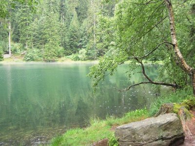 Circuit pédestre - Lac de la Maix (Moussey)