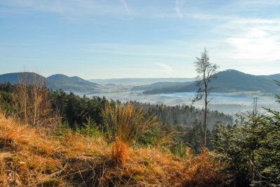 Circuit pédestre - Chemin de la Paix et de la Liberté US Trail 3 : Col de l'Arnelle