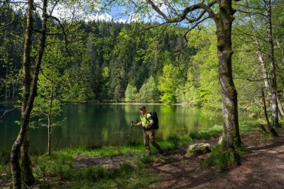 Circuit pédestre - Liaison Senones/Les 4 Bancs