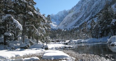 Randonnée raquettes : "Sous-bois enneigé au lac des Huats"