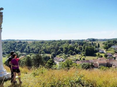 La pelouse du Cuvegney à Rollainville