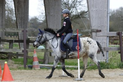 Centre équestre de la Montglonnière