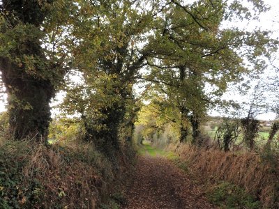 Saint-Amand-sur-Sèvre : circuit n°2 St Amand - Mauléon - St Amand