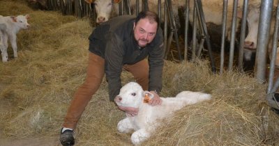 La petite ferme dans la montagne