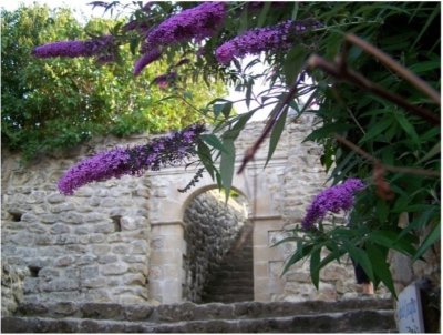 Sentier botanique de la Salette