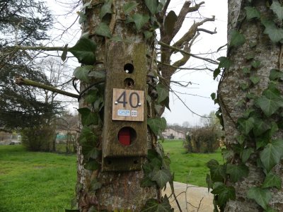 Parcours d'Orientation de Pont-Evêque.