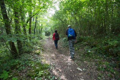 Balade à pied n°29 - Le bois des Roches