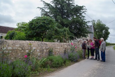 Balade à pied n°28 - Le Suin, du calcaire à l'argile