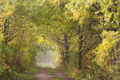 Balade à pied n°3 - Voyage entre les étangs et le canal des cinq bondes
