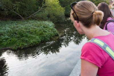 Balade à pied n°19 - L'eau, la terre, l'air, le feu