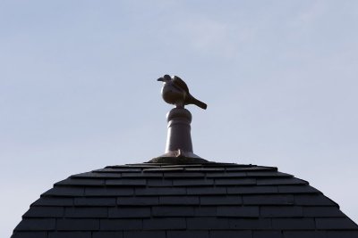 Balade à pied n°36 - La balade du colombier