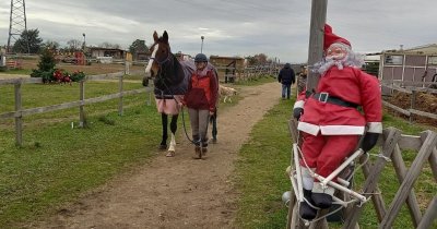 Poney club des Bréats