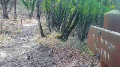 Église Sainte-Madeleine au Vieil Eyguians