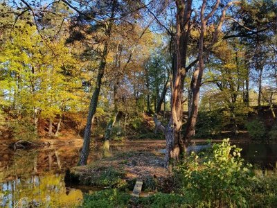 Étang de la Ballastière