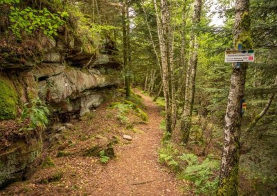 Site de la Haute Pierre