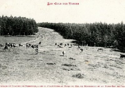 Rossberg (chaume saint Dié)