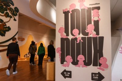 Exposition - Tout doux