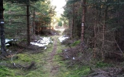 Montagne du Louschbach