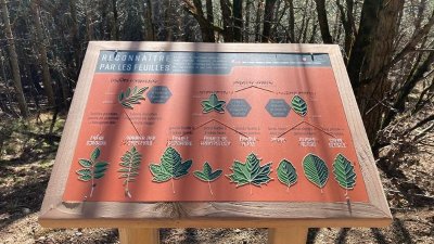 Arboretum de Puechagut