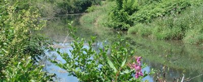 Sentier pédestre Envirhôna