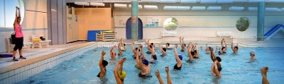 Piscine de Voiron : Les dauphins du Parc