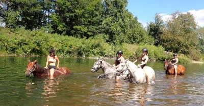 Les Chevaux du Cantaure