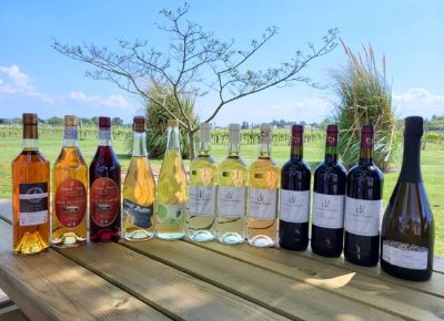 Visite du domaine viticole - Domaine Imbert