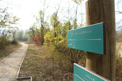Sentier découverte de la forêt - sentier pédestre