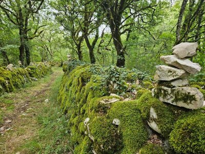 Boucle VTT 1 - Sources de la Lère