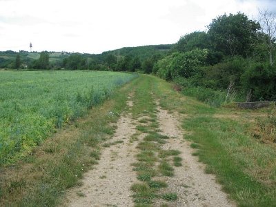 PR3 - Le chemin du loup