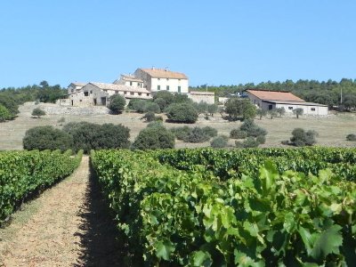 Château Sainte Marguerite