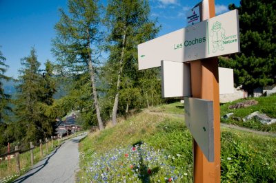 Itinéraire de randonnée pédestre : Le Sentier Nature