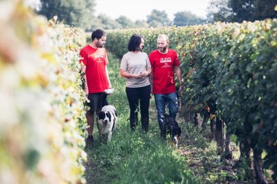 Visite et dégustation au Domaine Quintard Frères