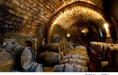 Visite du domaine Tesseron Cognac